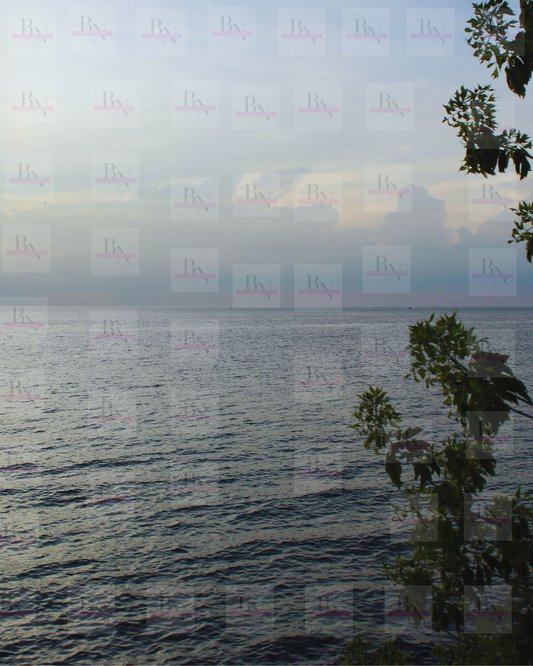 Nature digital downloadable print